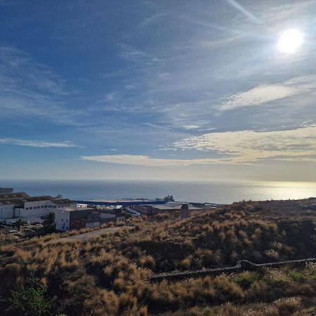 Atico Micaela. Terraza Y Vistas Daire Santa Cruz de Tenerife Dış mekan fotoğraf